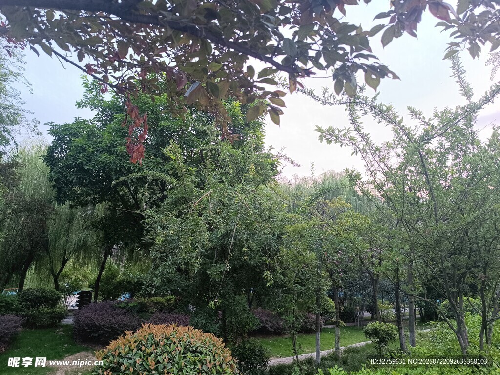 静谧园林景观