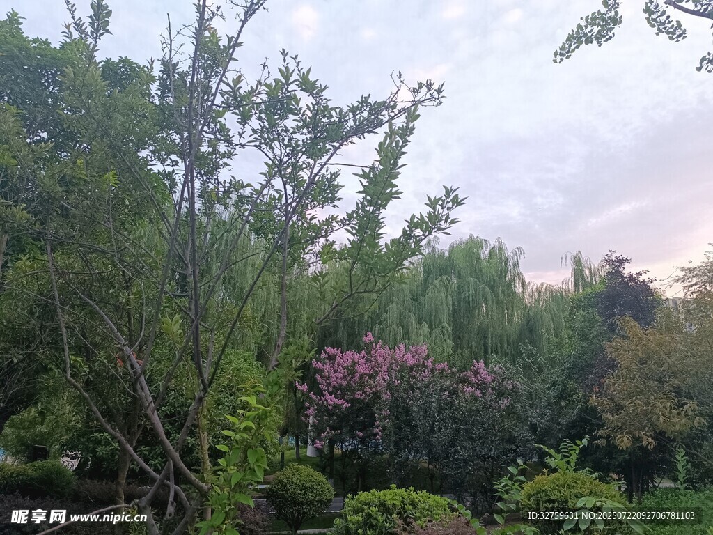 园林绿植景观