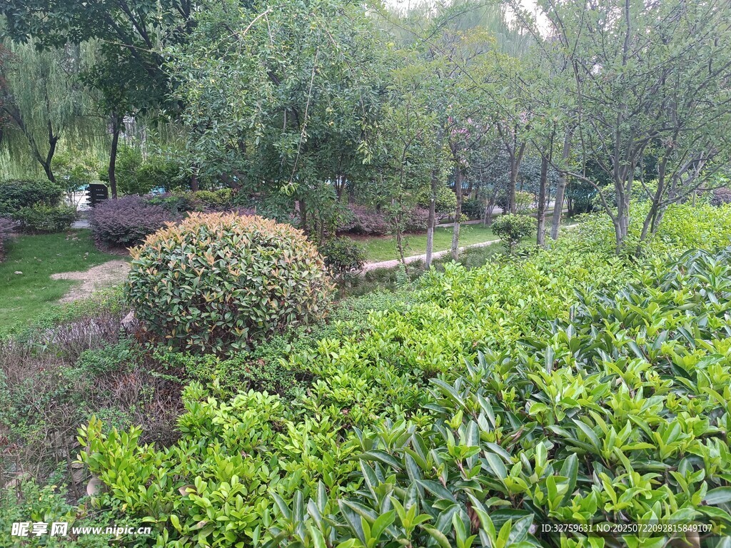 绿意盎然的园林景观