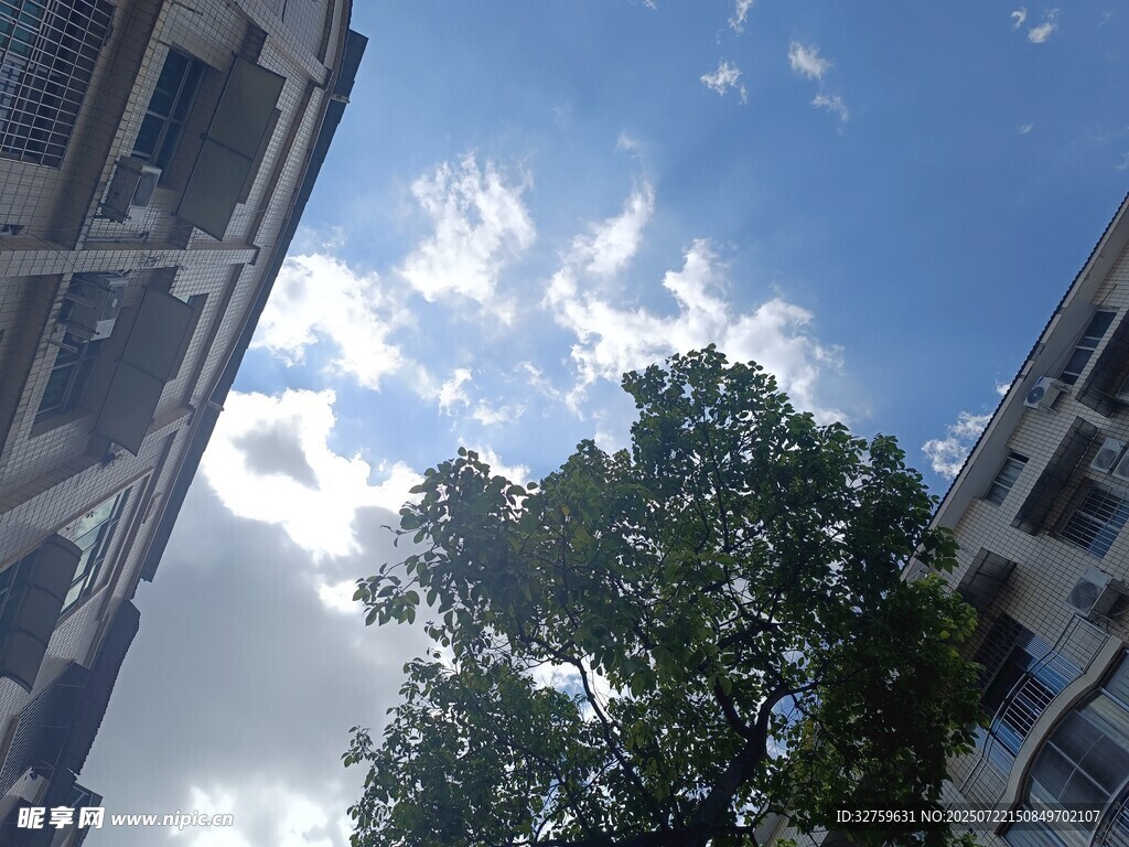 蓝天绿树间的城市景象