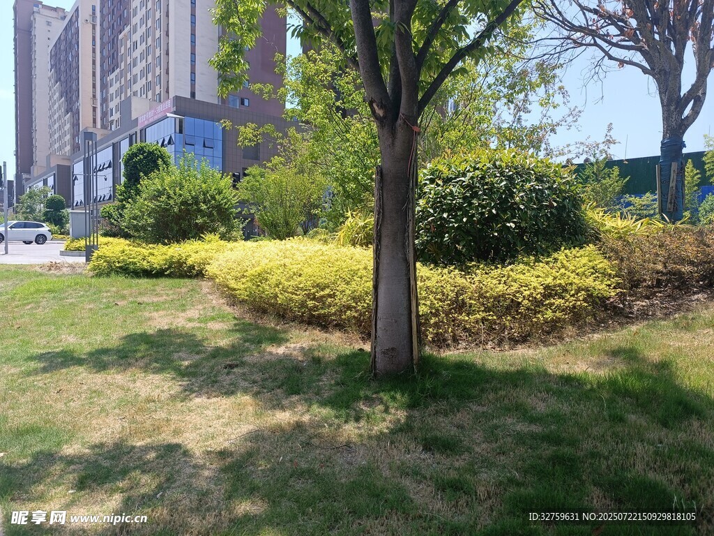城市中的绿意景观