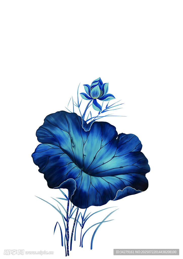 蓝色花卉插画