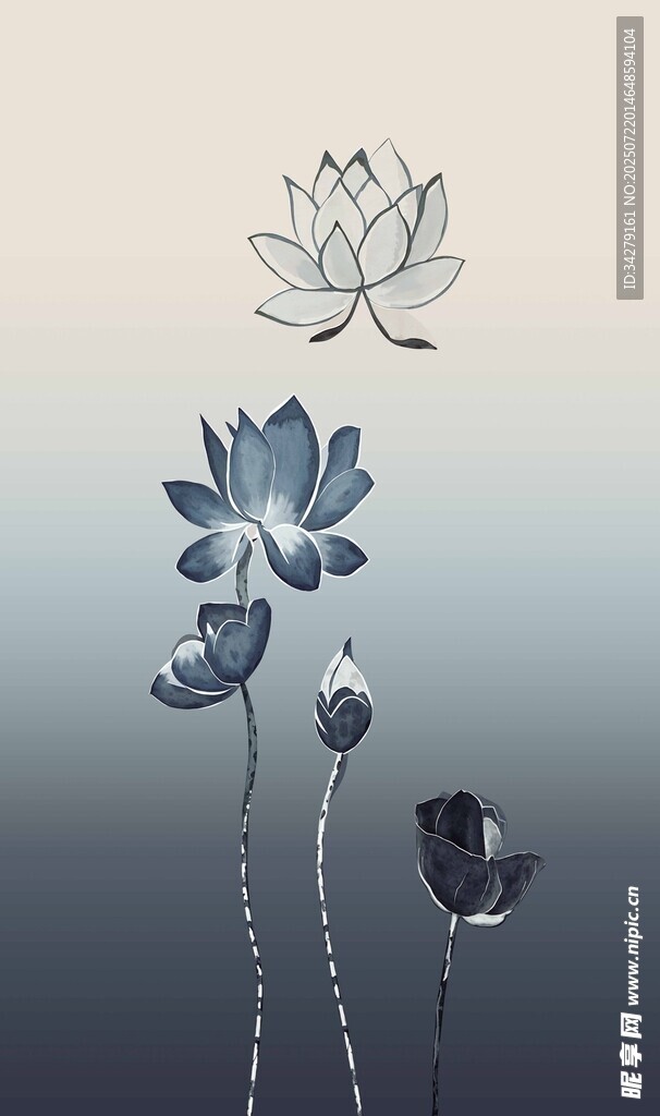 水墨风莲花插画意境美