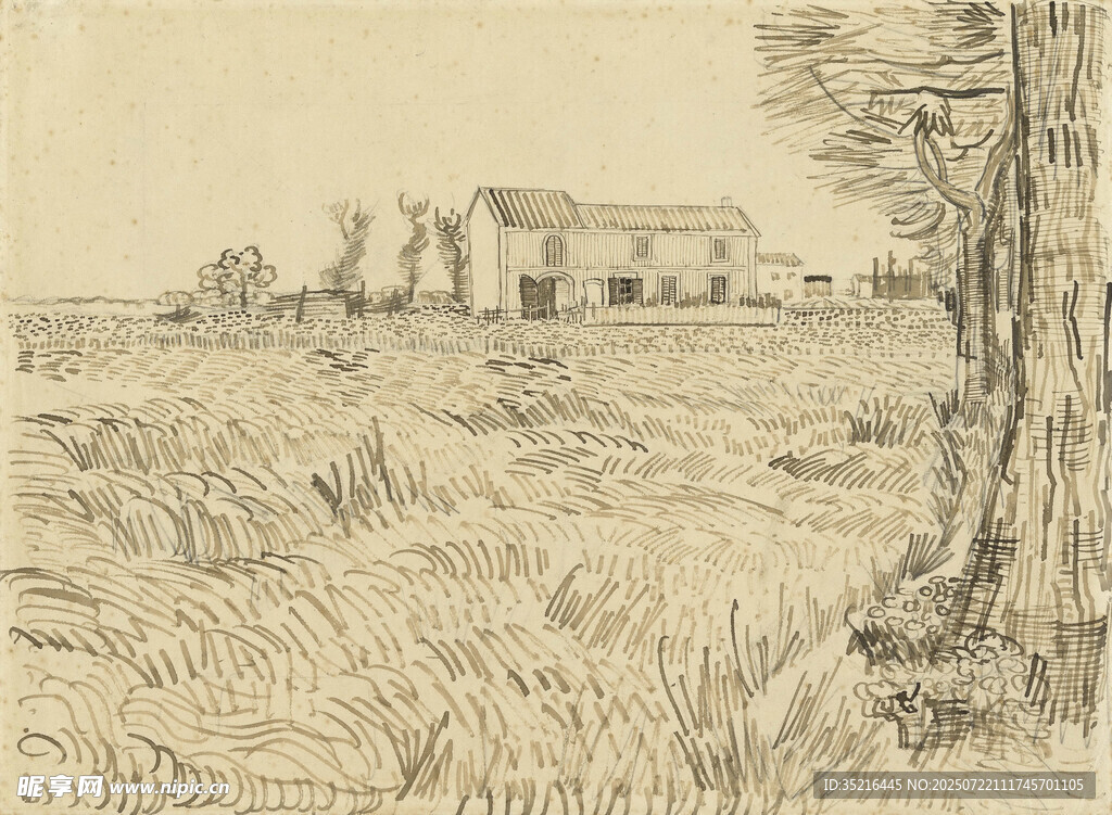 田野树木风景素描画