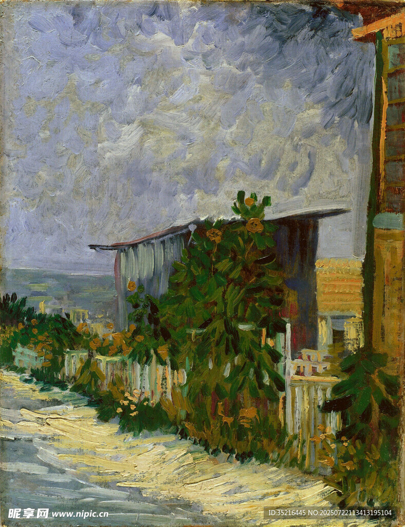 乡村小路旁的房屋风景