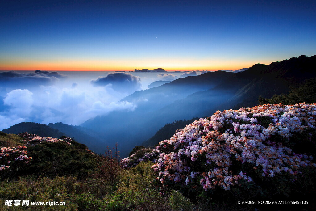 山间云海与烂漫繁花美景