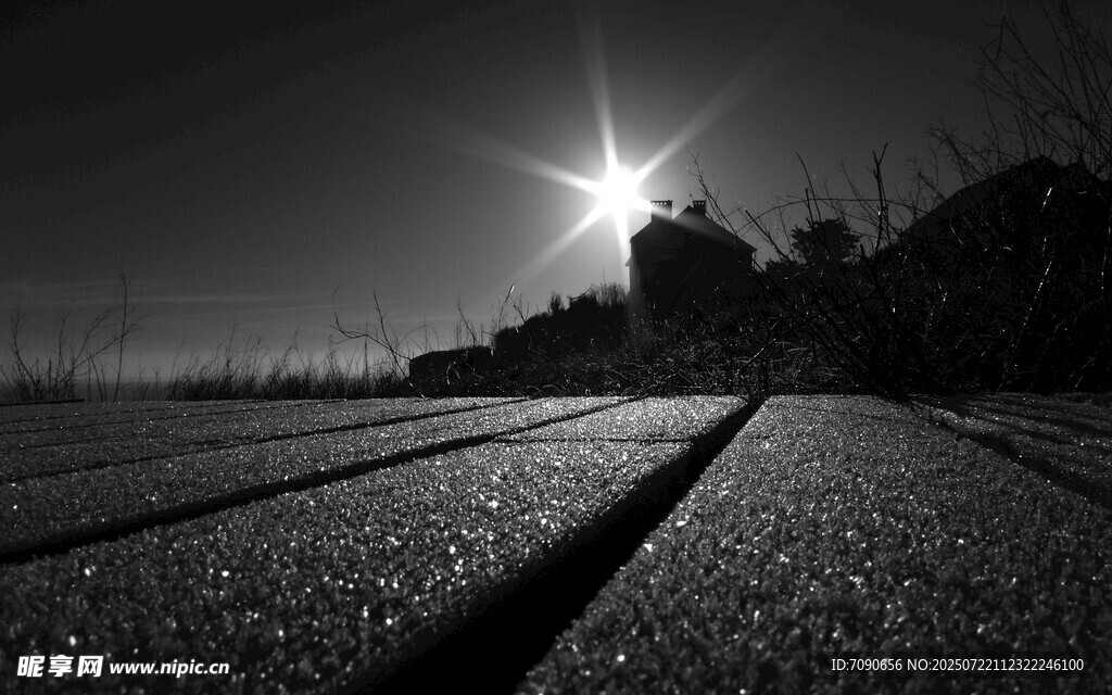 日出下的田野道路风景