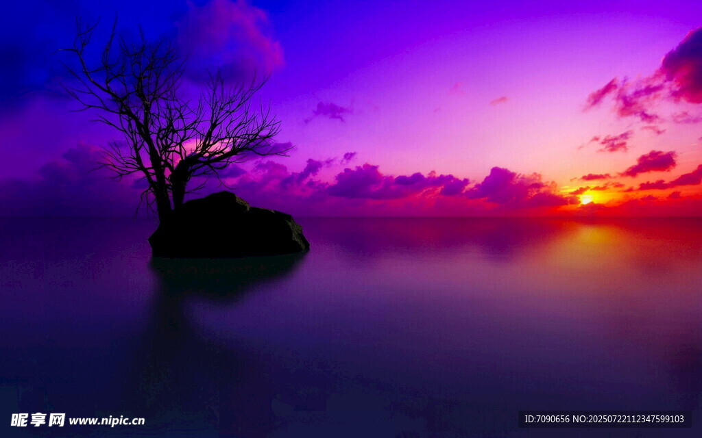 梦幻黄昏中的孤树美景