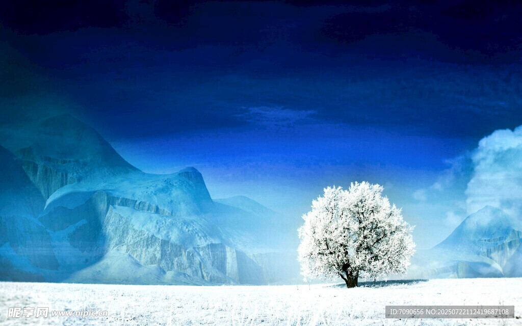 雪野孤树静谧冬日景象