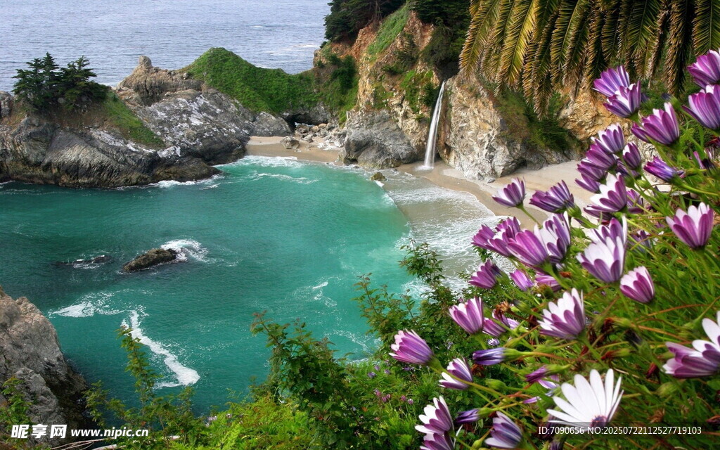 海岸繁花美景