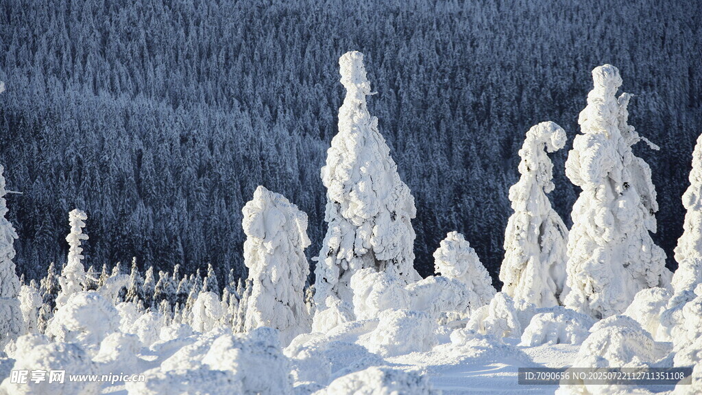 雪覆山林的冬日奇妙景观