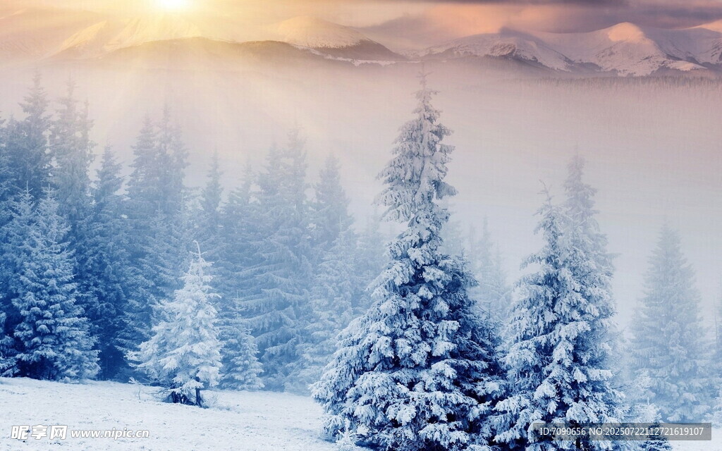 冬日雪林阳光洒落美景