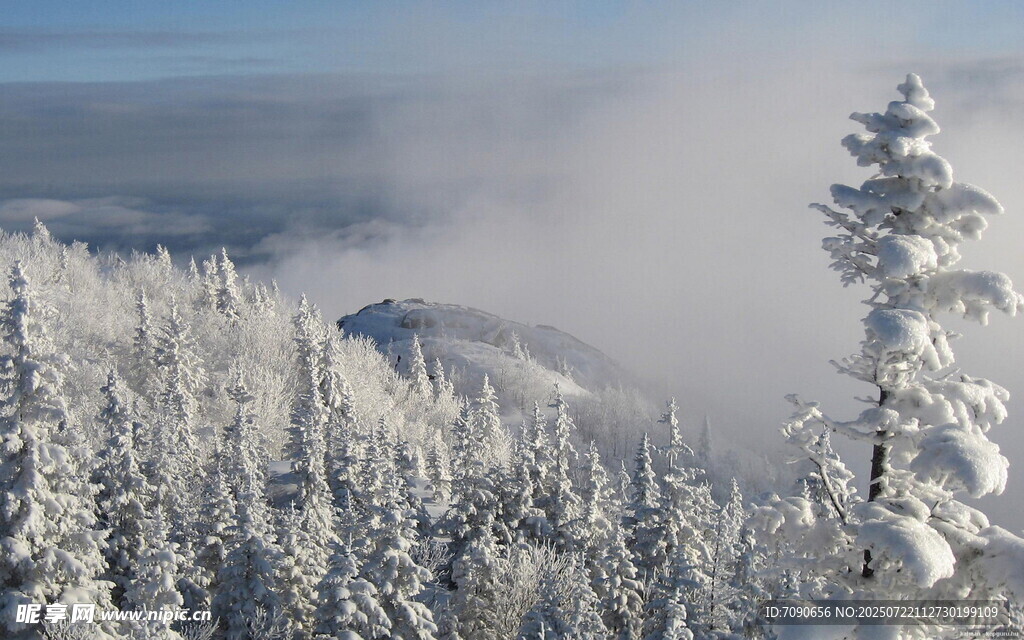 雪覆山林的冬日美景