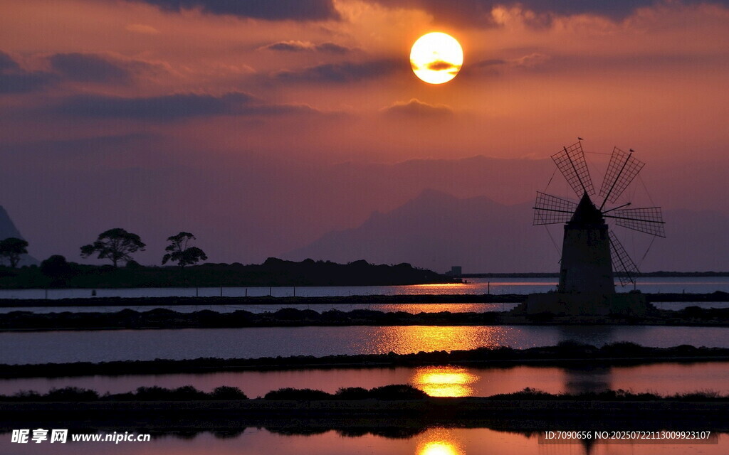 夕阳下的风车与水田美景