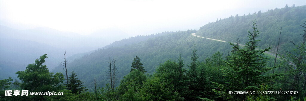 山林云雾间的翠绿景致
