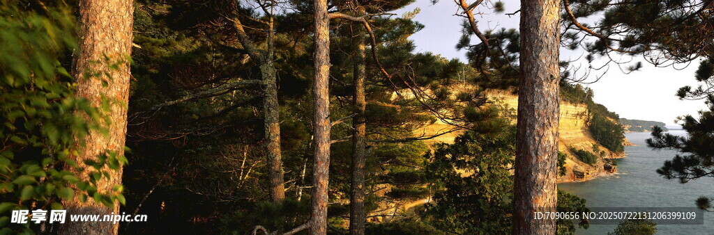 林间湖畔美景