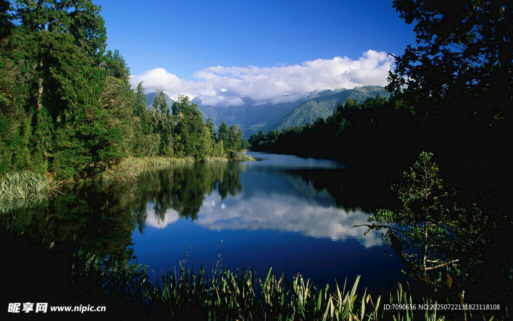 宁静湖畔森林美景