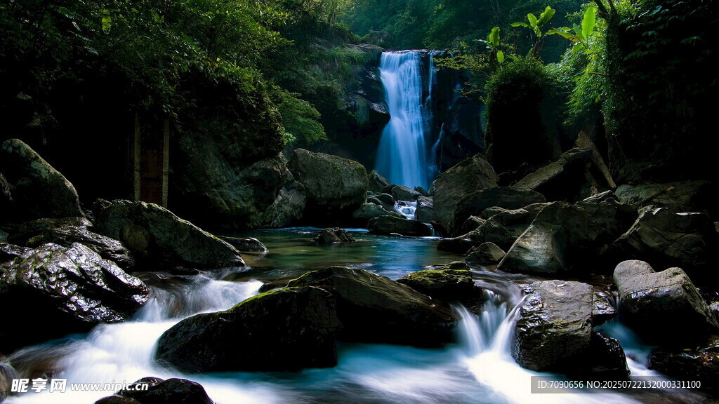 森林中的灵动瀑布美景