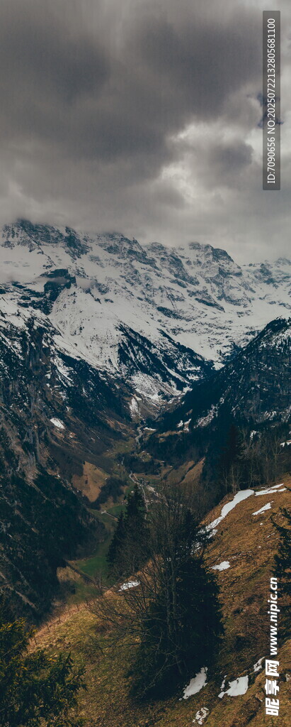 雪山环绕的壮丽山谷景观