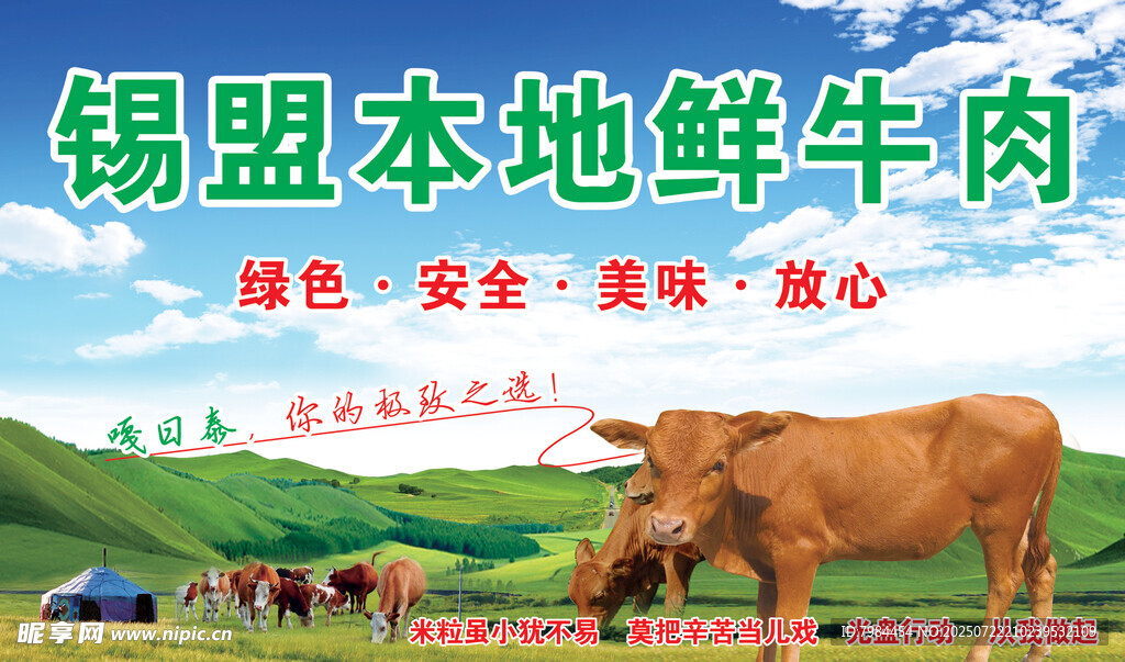 锡盟本地鲜牛肉宣传海报