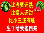 西瓜海报