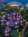 新加坡滨海湾花园夜景