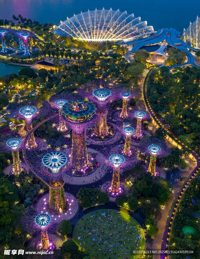 新加坡滨海湾花园夜景