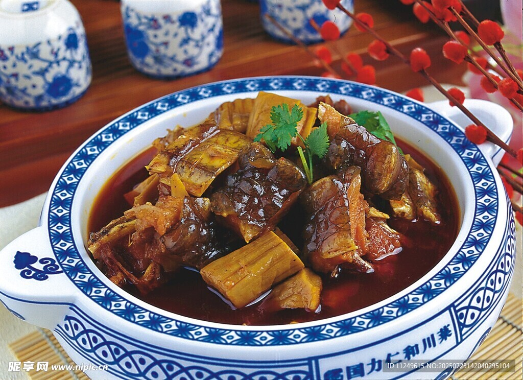 红烧鳄鱼肉