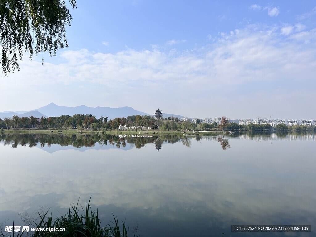 海岸