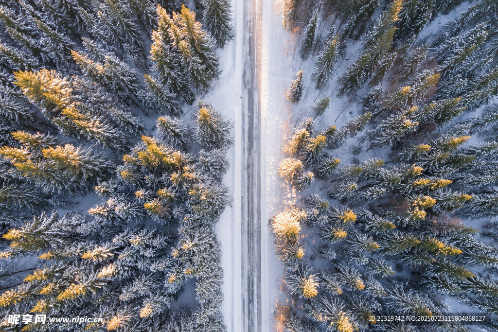 冬日林间公路俯瞰美景