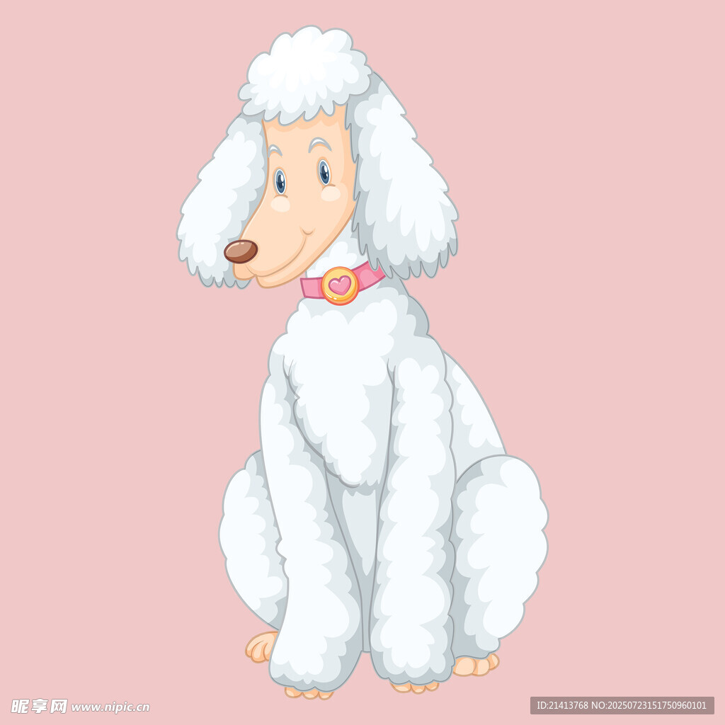 坐着的白色贵宾犬