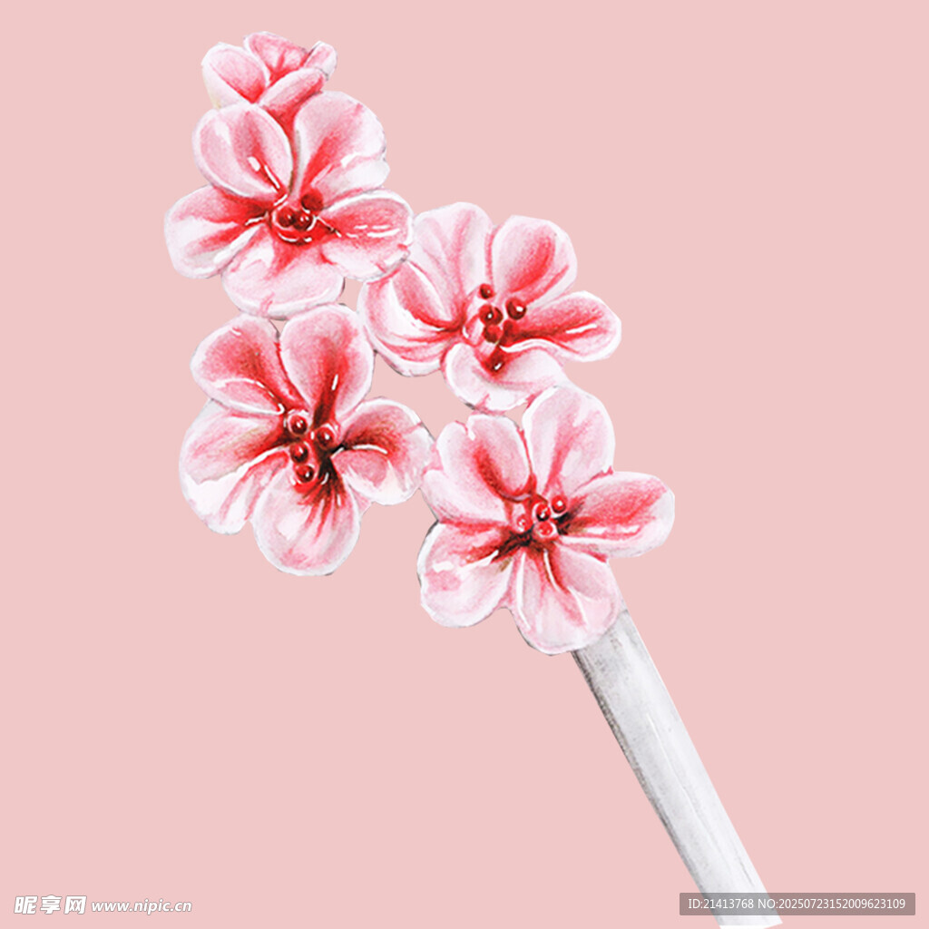粉色花卉特写