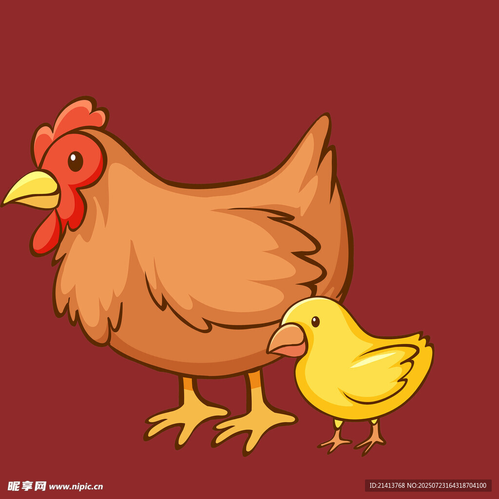 母鸡与小鸡温馨相伴