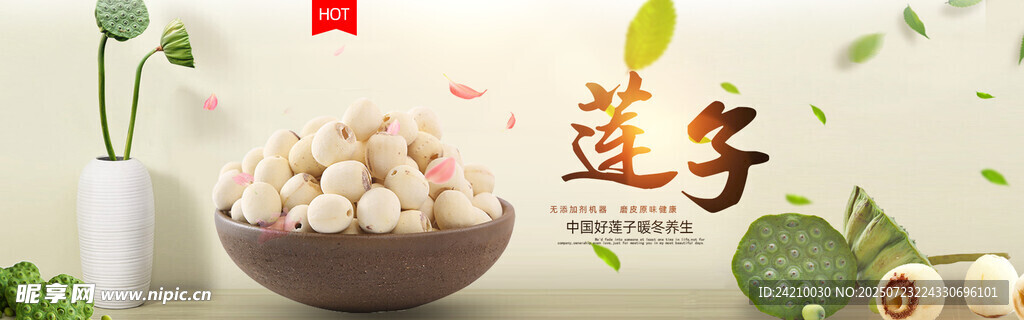 莲子BANNER