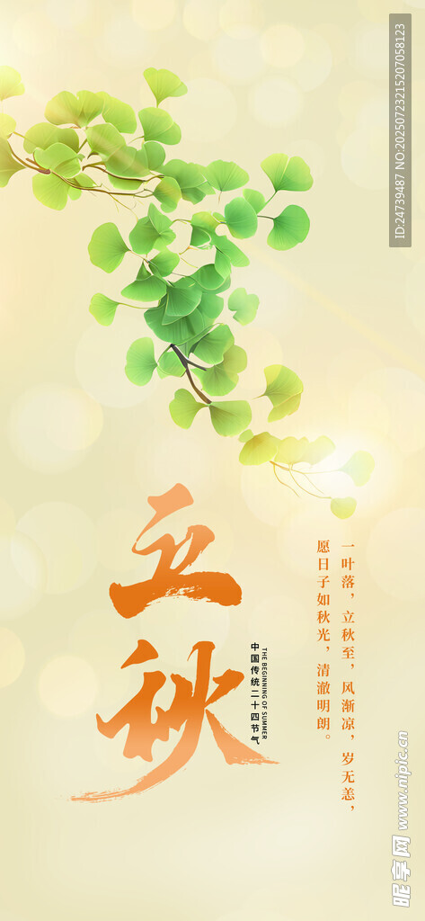 立秋海报