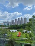 城市公园中的美丽景致