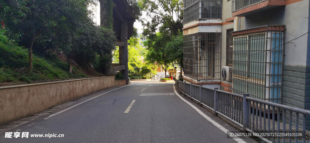 宁静街道旁的建筑风景