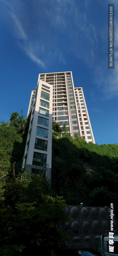 高楼矗立绿树环绕之景