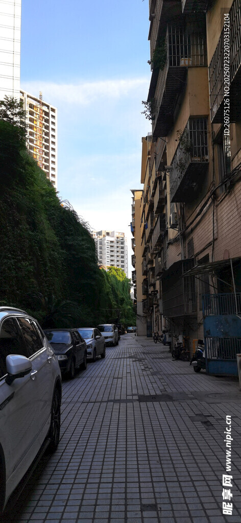城市街道旁的停车景象