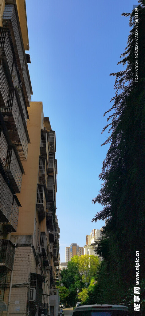 城市街道旁的建筑与树木