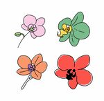 手绘多彩兰花插画