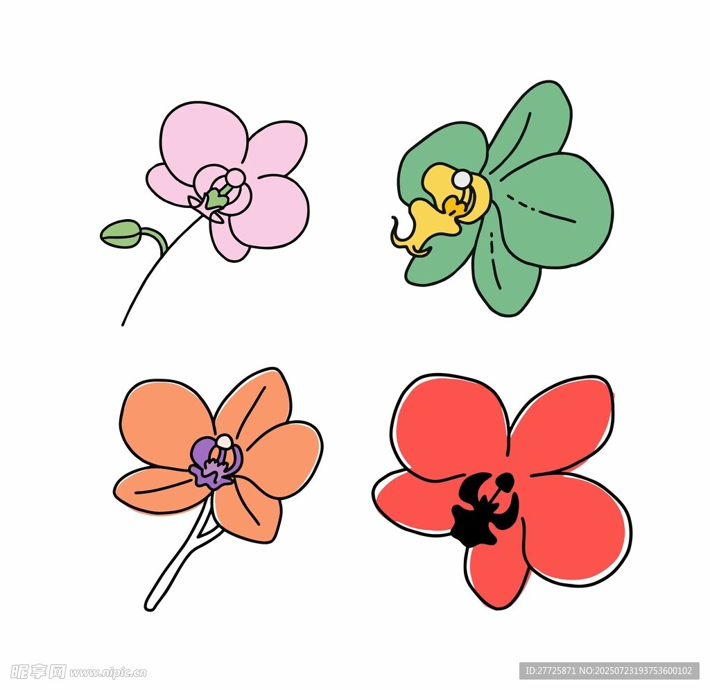 手绘多彩兰花插画