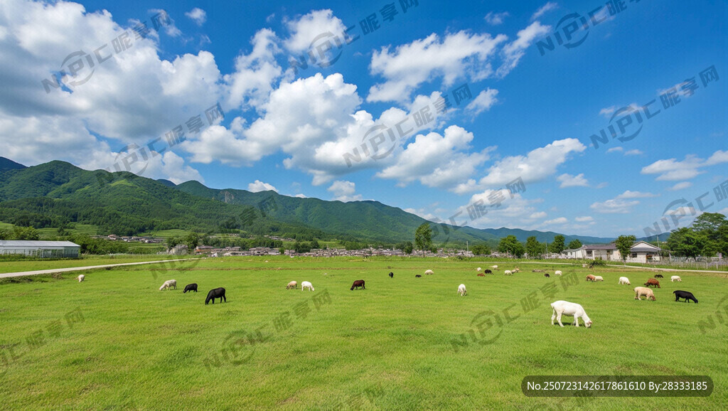 生态养殖农庄 有草地 蓝天白云