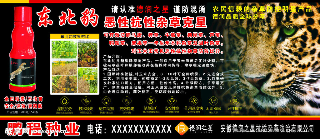 东北豹杂草克星