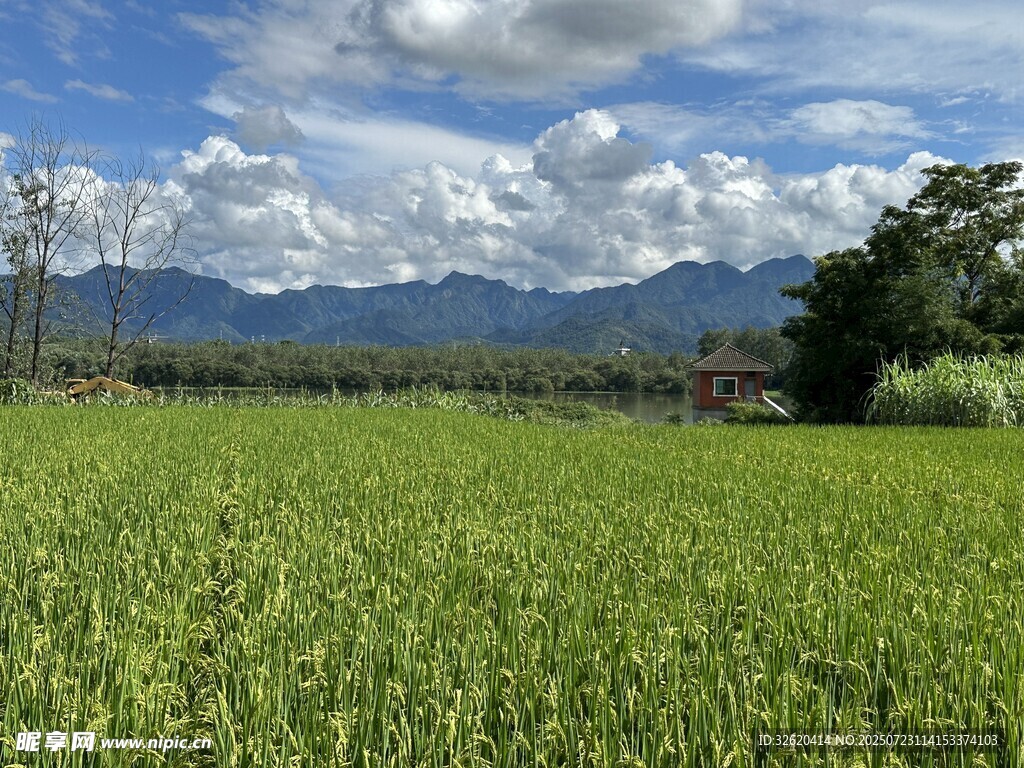 广袤绿野与远山蓝天