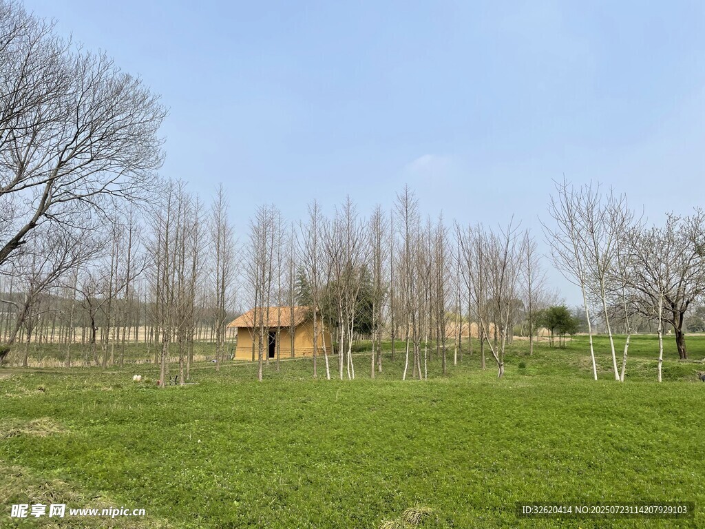 田园草地中的小屋