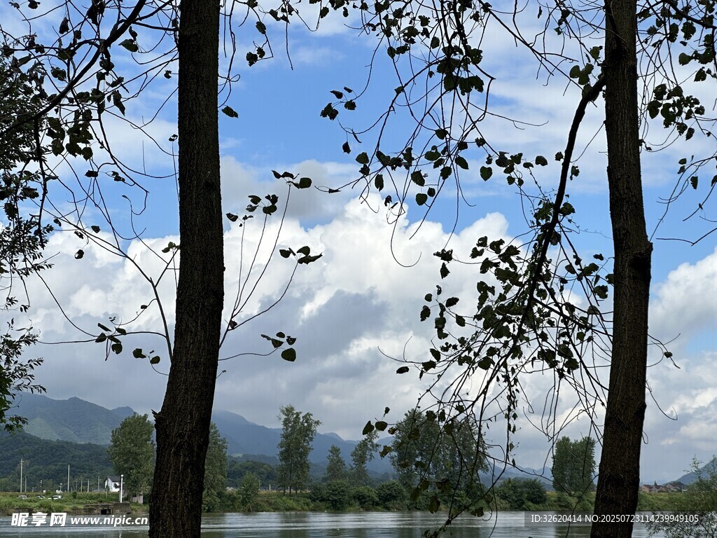 林间湖畔风景