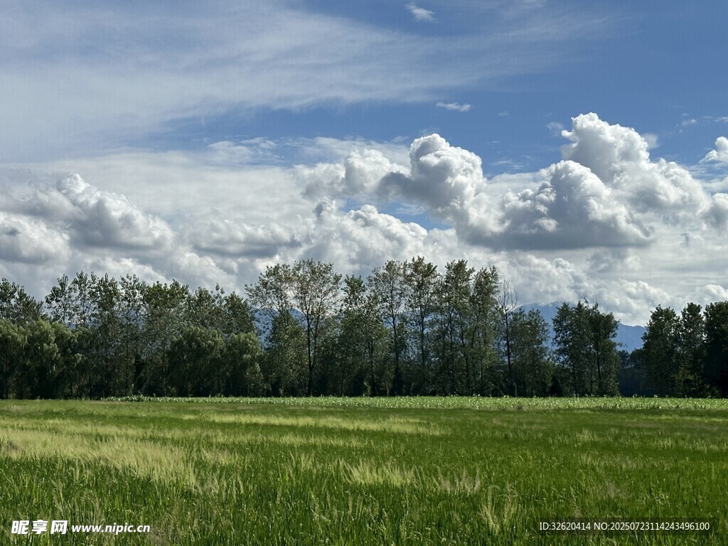 广袤田野与蓝天白云美景