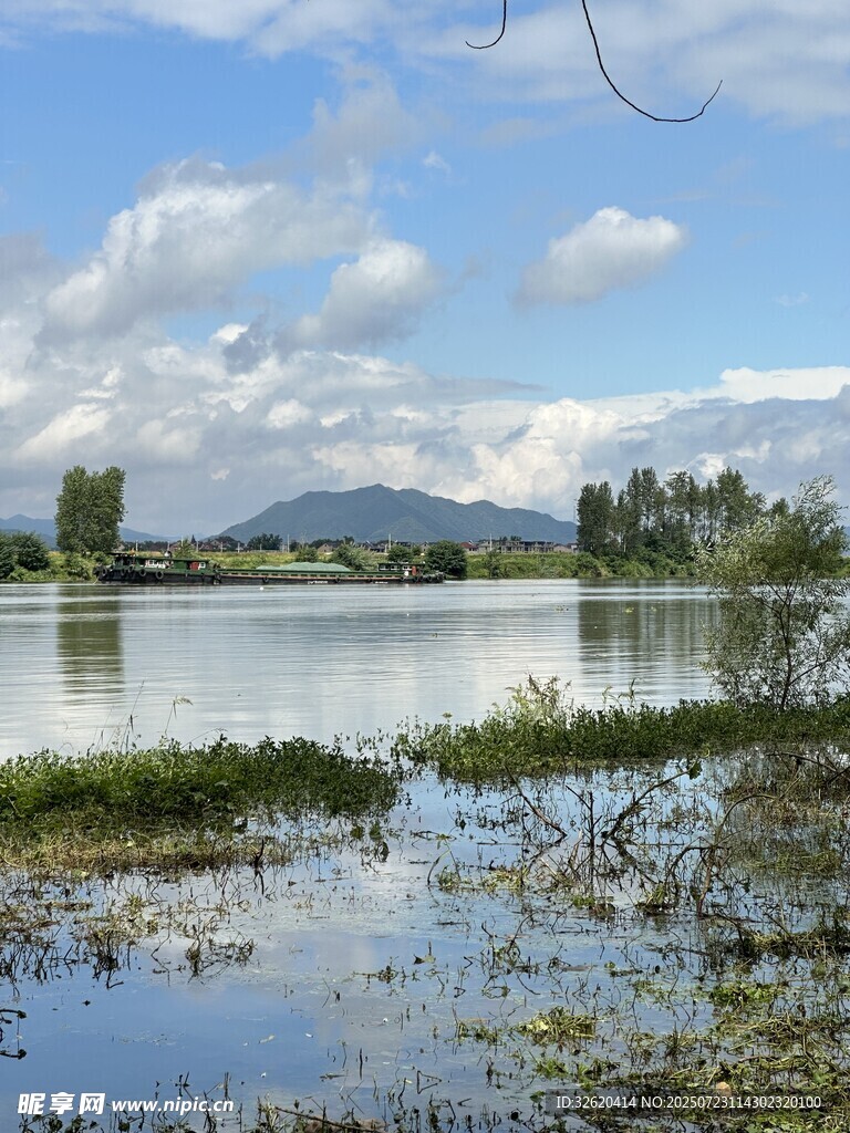 湖畔湿地风光