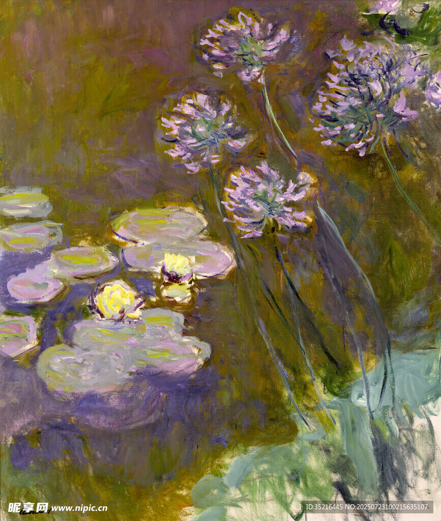 池塘中的睡莲与紫色花卉